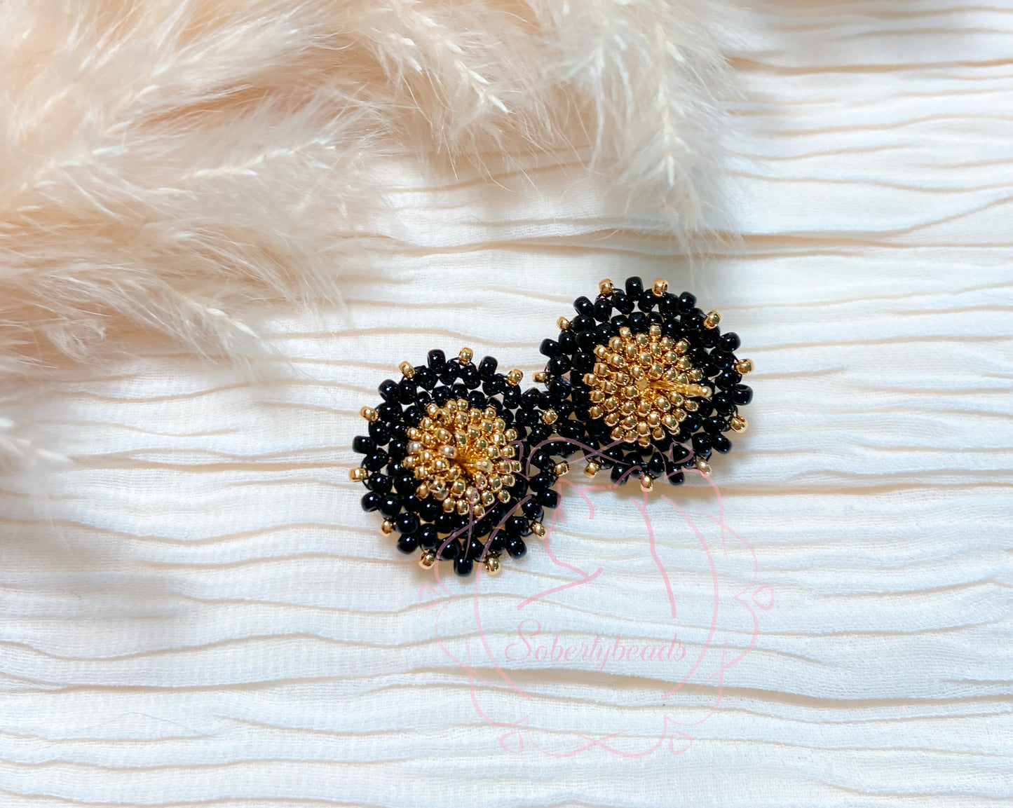 Black Daisy Series